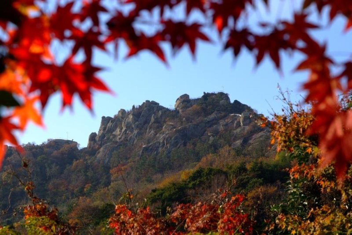파란 하늘아래 유달산이 펼쳐져 있다
