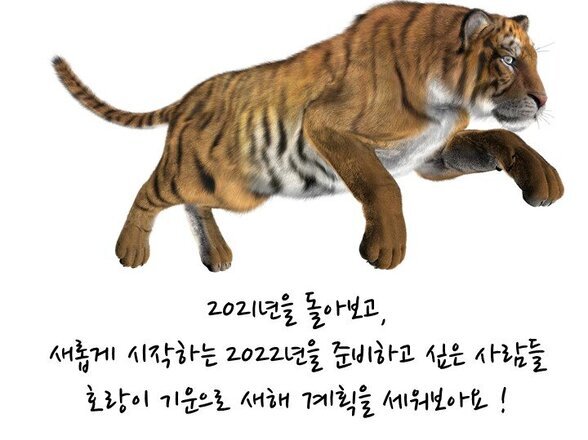 12월 힐링 프로그램(4) : 소원 나눔